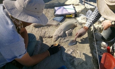 Arqueólogos realizan excavaciones en El Fin del Mundo para rastrear el origen de los primeros pobladores de América. Foto: RT