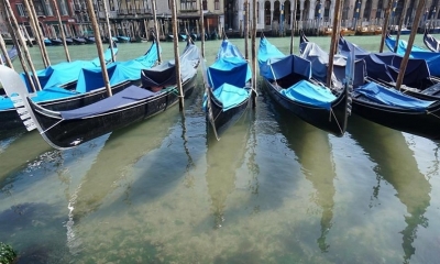 El agua de Venecia se aclaró por el bloqueo de la pandemia y causas naturales