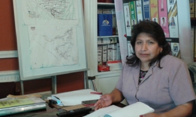 Vocal del TSE Dina Chuquimia.