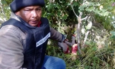 El acusado discutió con su sobrino y con un piedra le causó la muerte/Foto. RRSS