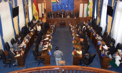 Se habilita el registro de los bolivianos en el exterior/Foto. Senado