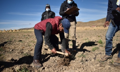 Instituto del Seguro Agrario (INSA), dependiente del Ministerio de Desarrollo Rural y Tierras (MDRyT).