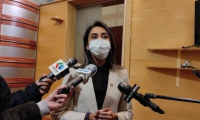 La diputada de Creemos, Marioly Morón. | Agencias