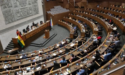 La Asamblea Legislativa Plurinacional.