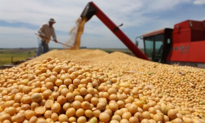 Soya boliviana | ABI