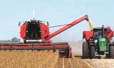 Cosecha de soya en el departamento de Santa Cruz. / Foto: Archivo