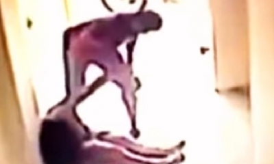 El video se hizo viral/Foto. Captura de pantalla 