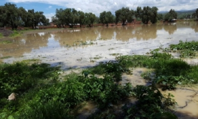 Quillacolo sufre inundaciones.