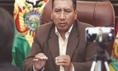 Presidente de la Cámara de Diputados, Freddy Mamani.