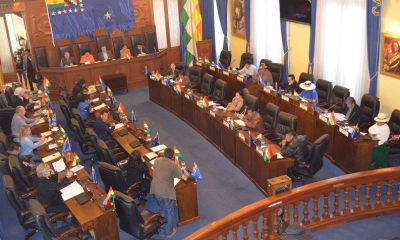 El pleno de la Cámara Alta/Foto. RRSS