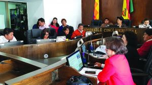 SESIÓN. Siete concejales votaron a favor de la ley, dos en blanco y dos no asistieron