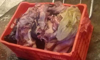 La carne en estado de descomposición decomisada.