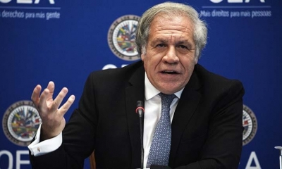 Luis Almagro, secretario general de la OEA. | AFP