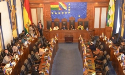 Pleno del Senado Nacional. Foto/tomada de internet
