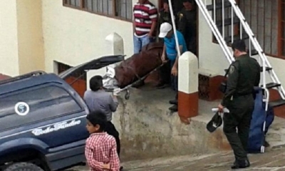 IMAGEN REFERENCIAL/Foto. RRSS