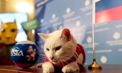 La conductora de la ceremonia le impuso la camiseta roja de Rusia. | Fuente: EFE