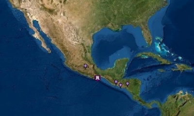 Alerta de tsunami | Fuente: (NOAA/Captura de pantalla)