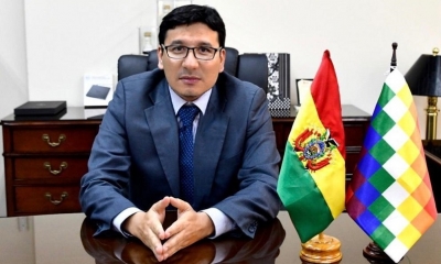 El ministro de Hidrocarburos y Energías, Franklin Molina