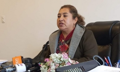 La primera vicepresidenta del Senado, Gladys Alarcón