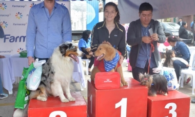 Los ganadores de la competencia/Foto. Bravo