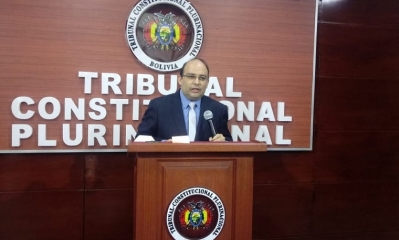 El magistrado del Tribunal Constitucional Plurinacional, Paul Franco. 