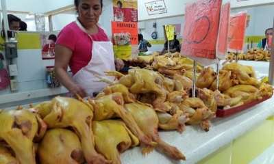 Cocarico explicó que el acuerdo con los avicultores se concretó para evitar que el costo del kilo de pollo