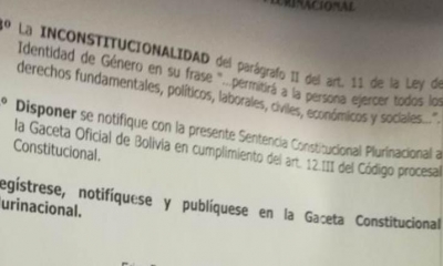 Vista al párrafo 11 de la ley de Identidad de Género/Foto. Captura de pantalla