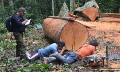 Imagen Referencial/Foto. RRSS