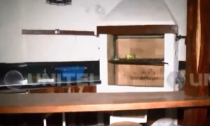  Delincuentes vaciaron las casa/Foto. Captura de pantalla