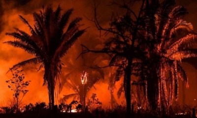 El peor junio en 13 años para la Amazonia brasileña por los incendios. | Fuente: AFP