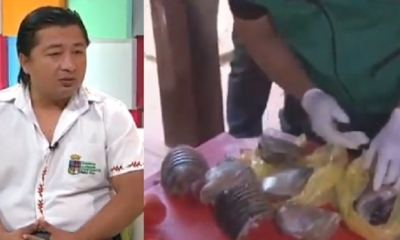 Se decomisó 15 kilos de carne de tatú/Foto. Captura de pantalla 