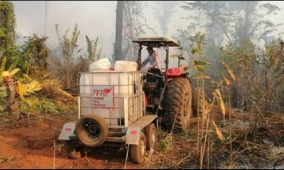 Quema e incendios forestales.