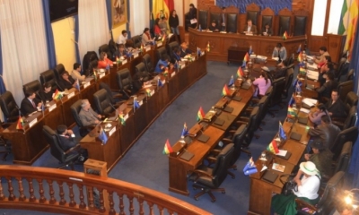 La sesión del Senado donde se aprobó la Ley. Foto: Senado