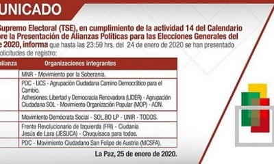 El Tribunal Supremo Electoral (TSE) registró cinco alianzas políticas