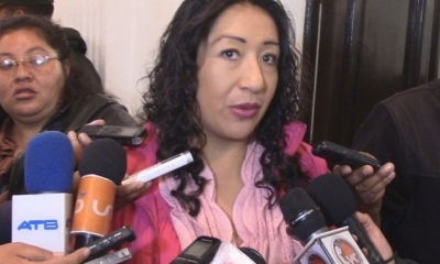 Mireya Montaño, Diputada del Movimiento Al Socialismo (MAS). Foto: Internet