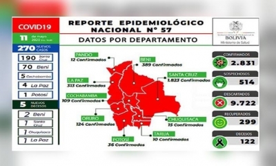 Los últimos datos del Ministerio de Salud.