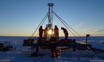 Abundancia de vida bajo la capa de hielo de la Antártida