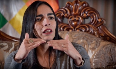 Foto / Archivo: La Cámara de Diputados, Gabriela Montaño