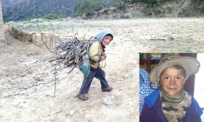 El niño desapareció con su corderito/Foto. RRSS