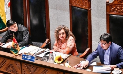 El ministro de Hidrocarburos, Franklin Molina en la Cámara de Senadores. Foto: Senado.