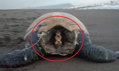 Las autoridades investigan el hecho/Foto. RRSS