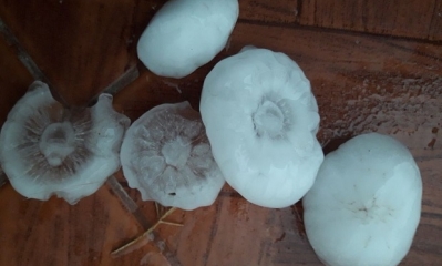 Granizo en Yacuíba/Foto.Kandire.bo