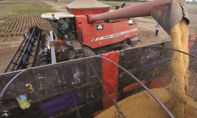 La cosecha de los granos de soya durante la campaña de verano 2018-2019. Foto:Archivo / Página Siete