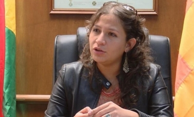 Ariana Campero, Ministra de Salud. Foto: Internet