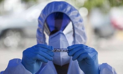 Todas las variantes de gripe aviar tienen cierto potencial pandémico