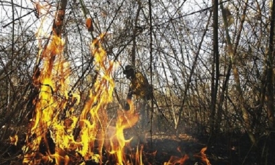 En San José de Chiquitos el fuego fue controlado parcialmente. Foto: EL DEBER