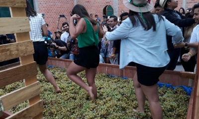 Así celebraron la Vendimia 2018/Foto. Kreab