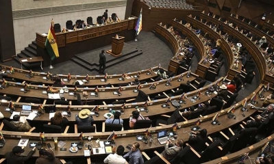 El pleno de la Cámara de Diputados debe aprobar el reglamento de preselección. | APG