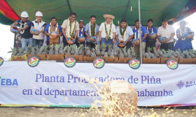  El presidente Luis Arce llegó hasta este municipio y dio inicio a la construcción de la planta procesadora de piña