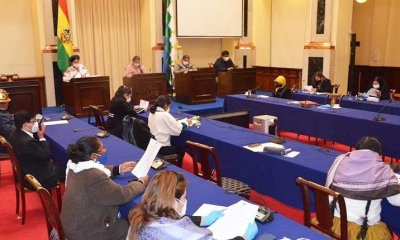 El Senado aprueba el proyecto de ley. | Senado Bolivia